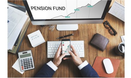 How do pension providers meet their governance requirements?