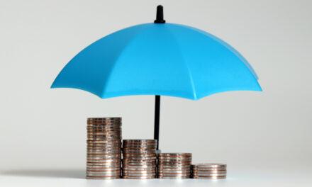 What pension and protection products do workplace pension providers offer?